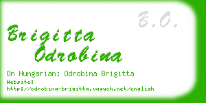 brigitta odrobina business card